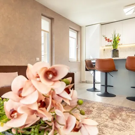 5th Floor Executive With Balcony And Free Parking Apartment Brasov
